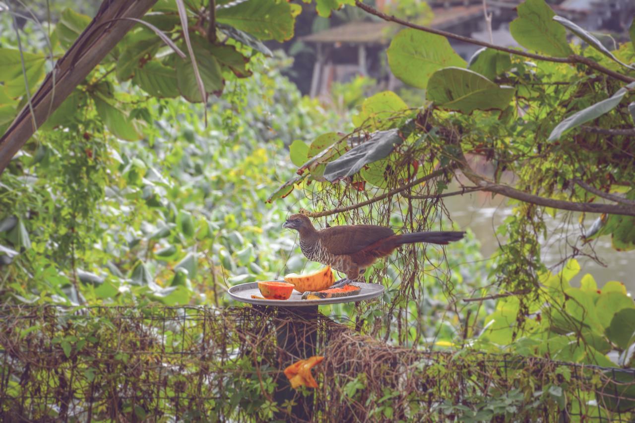 Pousada Canto Da Brava Balneário Camboriú Exterior foto